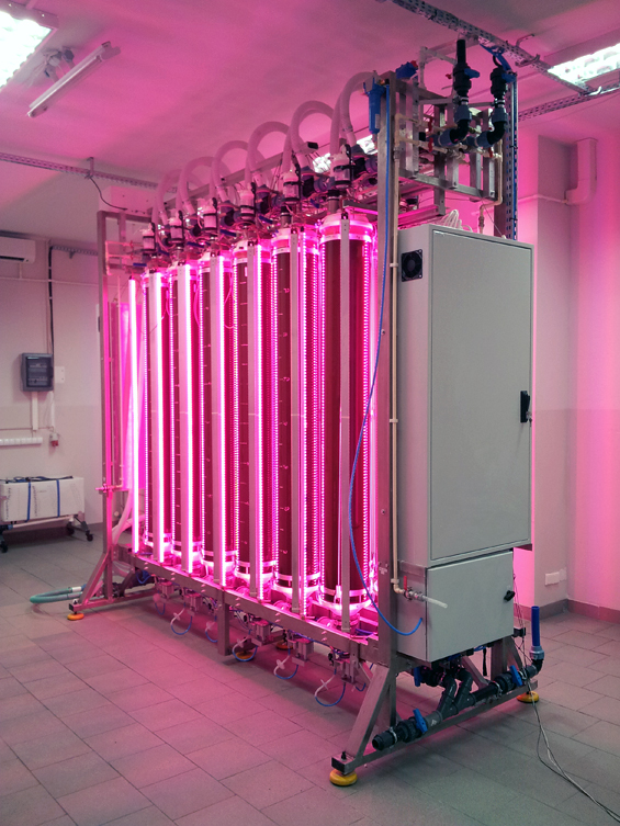 Komputerowy system sterowania produkcją astaksantyny w zautomatyzowanym systemie fotobioreaktorów.